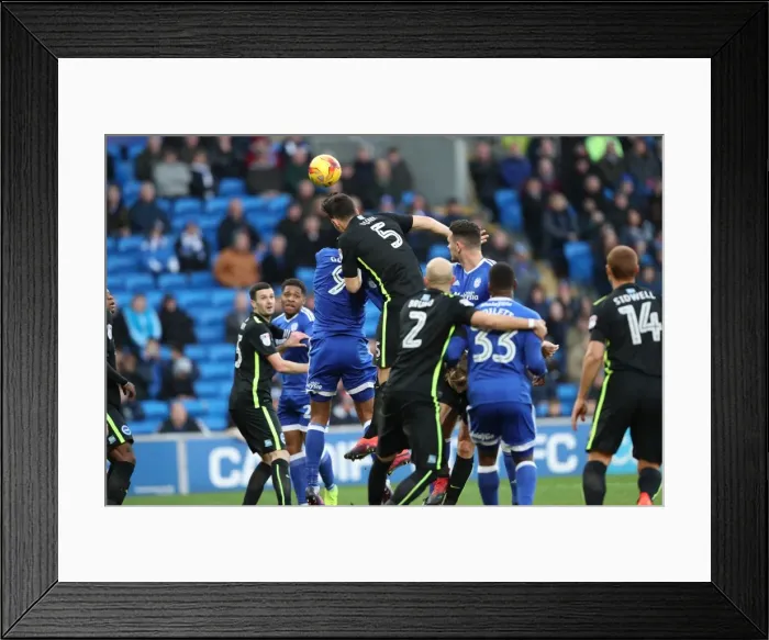 Framed Print : Decisive Moments: Cardiff City vs. Brighton & Hove Albion at Cardiff City Stadium (03DEC16) Framed Print : Decisive Moments: Cardiff City vs. Brighton & Hove Albion at Cardiff City Stadium (03DEC16)