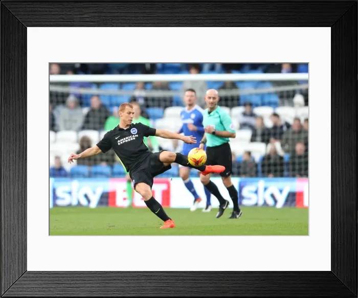 Framed Print : Cardiff vs. Brighton: EFL Sky Bet Championship Showdown at Cardiff City Stadium (03DEC16) Framed Print : Cardiff vs. Brighton: EFL Sky Bet Championship Showdown at Cardiff City Stadium (03DEC16)