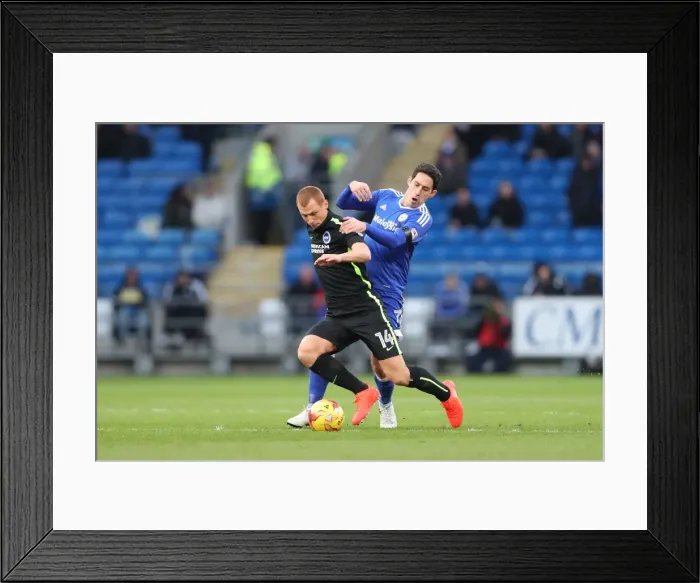 Framed Print : Cardiff vs. Brighton: Championship Showdown at Cardiff City Stadium (03DEC16) Framed Print : Cardiff vs. Brighton: Championship Showdown at Cardiff City Stadium (03DEC16)