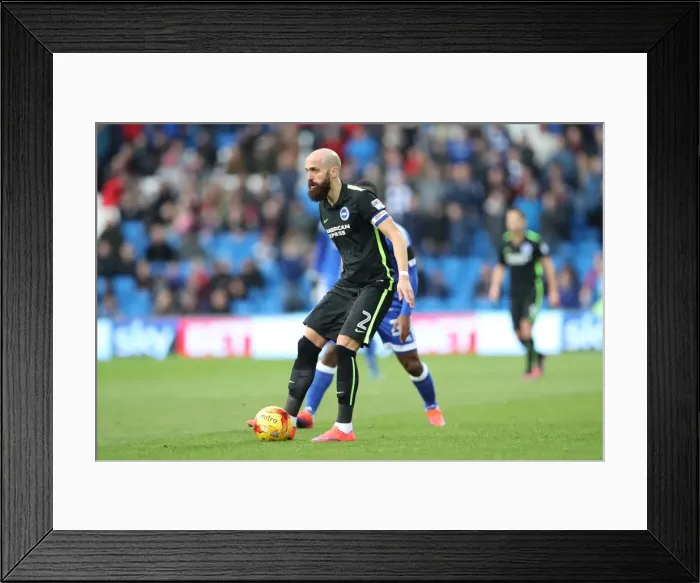 Framed Print : Decisive Moments: Cardiff City vs. Brighton & Hove Albion at Cardiff City Stadium (03DEC16) Framed Print : Decisive Moments: Cardiff City vs. Brighton & Hove Albion at Cardiff City Stadium (03DEC16)