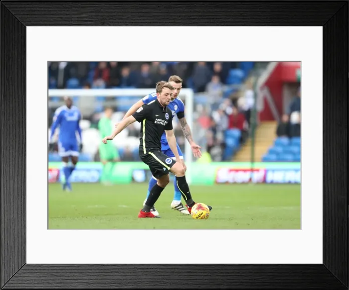 Framed Print : Decisive Moments: Cardiff City vs. Brighton & Hove Albion at Cardiff City Stadium (03DEC16) Framed Print : Decisive Moments: Cardiff City vs. Brighton & Hove Albion at Cardiff City Stadium (03DEC16)