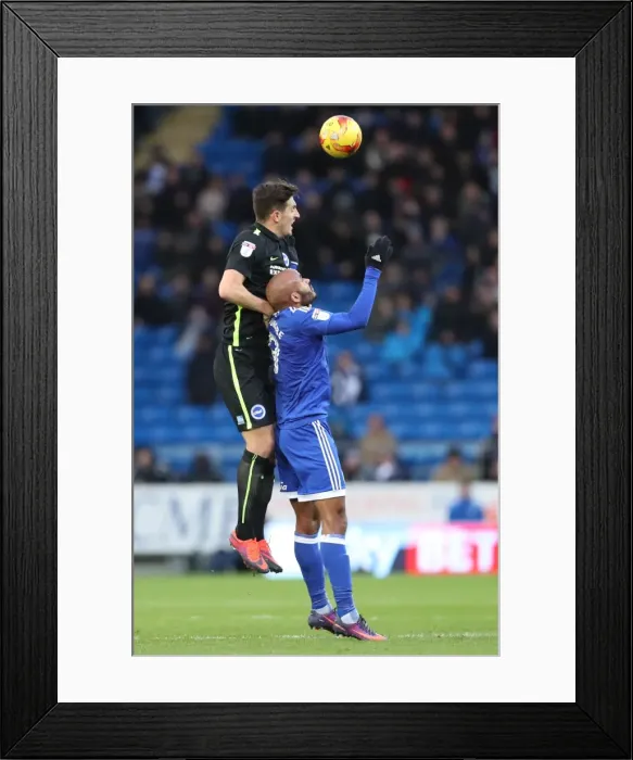 Framed Print : Decisive Moments at Cardiff City Stadium: Cardiff vs. Brighton & Hove Albion, EFL Sky Bet Championship (03DEC16) Framed Print : Decisive Moments at Cardiff City Stadium: Cardiff vs. Brighton & Hove Albion, EFL Sky Bet Championship (03DEC16)
