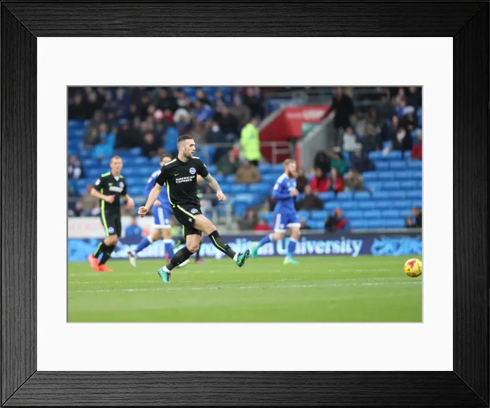 Framed Print : Decisive Moments: Cardiff City vs. Brighton & Hove Albion at Cardiff City Stadium (03DEC16) Framed Print : Decisive Moments: Cardiff City vs. Brighton & Hove Albion at Cardiff City Stadium (03DEC16)