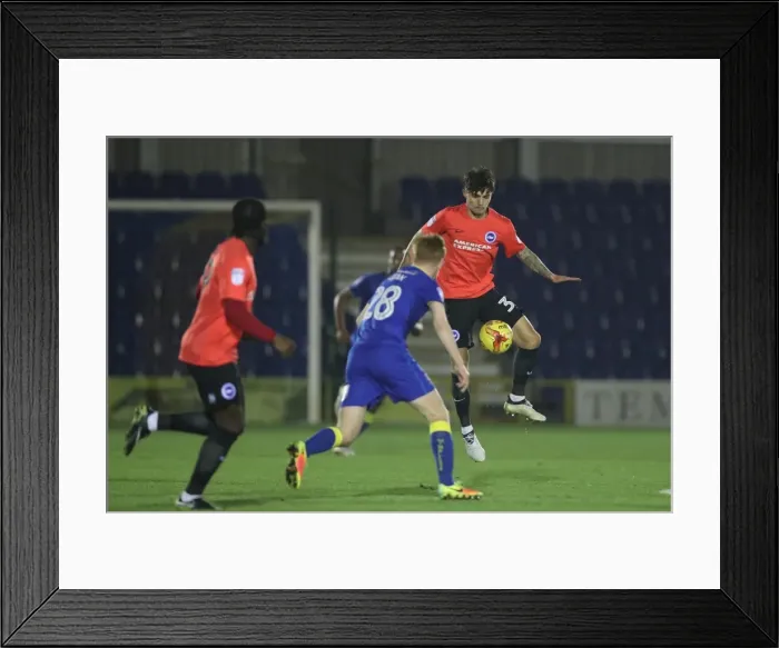 Framed Print : Brighton & Hove Albion U23s Take on AFC Wimbledon in EFL Trophy Clash (06DEC16) Framed Print : Brighton & Hove Albion U23s Take on AFC Wimbledon in EFL Trophy Clash (06DEC16)
