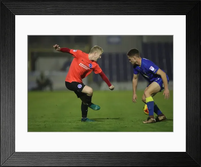 Framed Print : Brighton & Hove Albion U23s Take on AFC Wimbledon in EFL Trophy Clash (06DEC16) Framed Print : Brighton & Hove Albion U23s Take on AFC Wimbledon in EFL Trophy Clash (06DEC16)