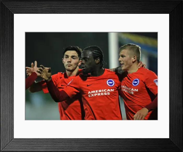 Framed Print : Brighton & Hove Albion U23s Take on AFC Wimbledon in EFL Trophy Clash (06DEC16) Framed Print : Brighton & Hove Albion U23s Take on AFC Wimbledon in EFL Trophy Clash (06DEC16)