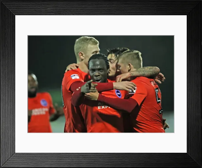 Framed Print : Brighton & Hove Albion U23s vs. AFC Wimbledon: EFL Trophy Showdown (06DEC16) Framed Print : Brighton & Hove Albion U23s vs. AFC Wimbledon: EFL Trophy Showdown (06DEC16)