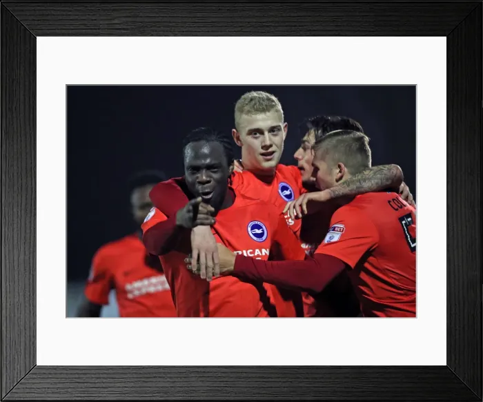 Framed Print : Brighton & Hove Albion U23s Gear Up for EFL Trophy Showdown against AFC Wimbledon (06DEC16) Framed Print : Brighton & Hove Albion U23s Gear Up for EFL Trophy Showdown against AFC Wimbledon (06DEC16)