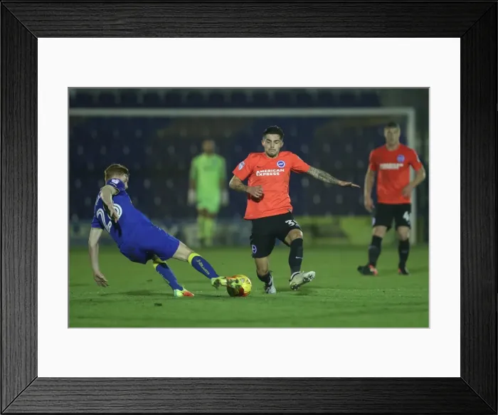 Framed Print : AFC Wimbledon vs. Brighton & Hove Albion: EFL Trophy Clash at The Cherry Red Records Stadium (06DEC16) Framed Print : AFC Wimbledon vs. Brighton & Hove Albion: EFL Trophy Clash at The Cherry Red Records Stadium (06DEC16)