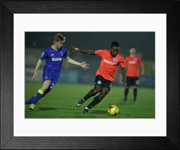 Framed Print : Brighton & Hove Albion vs AFC Wimbledon: EFL Trophy Showdown at The Cherry Red Records Stadium (06DEC16) Framed Print : Brighton & Hove Albion vs AFC Wimbledon: EFL Trophy Showdown at The Cherry Red Records Stadium (06DEC16)