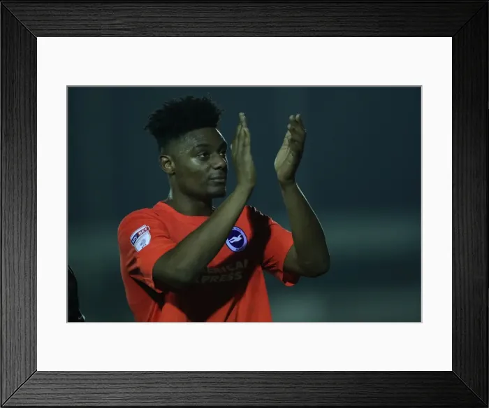 Framed Print : Brighton & Hove Albion U23s Take on AFC Wimbledon in EFL Trophy Clash (06DEC16) Framed Print : Brighton & Hove Albion U23s Take on AFC Wimbledon in EFL Trophy Clash (06DEC16)