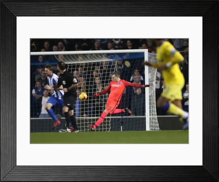 Framed Print : Brighton and Hove Albion vs. Leeds United: EFL Sky Bet Championship Showdown at American Express Community Stadium (December 9, 2016) Framed Print : Brighton and Hove Albion vs. Leeds United: EFL Sky Bet Championship Showdown at American Express Community Stadium (December 9, 2016)
