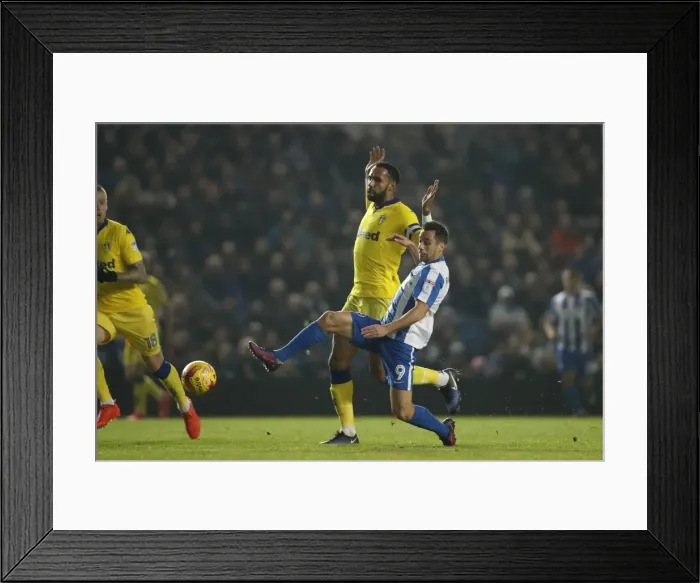 Framed Print : Brighton and Hove Albion vs. Leeds United: EFL Sky Bet Championship Showdown at American Express Community Stadium (December 9, 2016) Framed Print : Brighton and Hove Albion vs. Leeds United: EFL Sky Bet Championship Showdown at American Express Community Stadium (December 9, 2016)