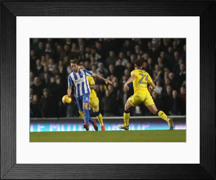 Framed Print : Brighton and Hove Albion vs. Leeds United: EFL Sky Bet Championship Showdown at American Express Community Stadium (December 9, 2016) Framed Print : Brighton and Hove Albion vs. Leeds United: EFL Sky Bet Championship Showdown at American Express Community Stadium (December 9, 2016)
