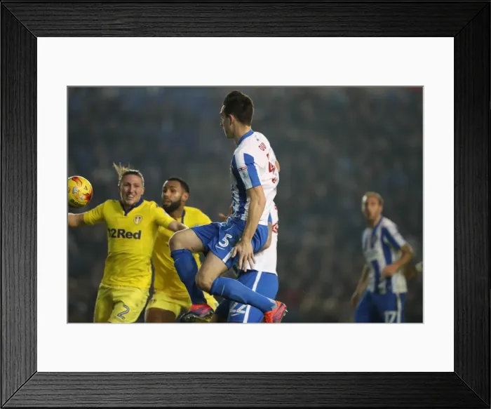 Framed Print : Brighton and Hove Albion vs. Leeds United: EFL Sky Bet Championship Showdown at American Express Community Stadium (December 9, 2016) Framed Print : Brighton and Hove Albion vs. Leeds United: EFL Sky Bet Championship Showdown at American Express Community Stadium (December 9, 2016)