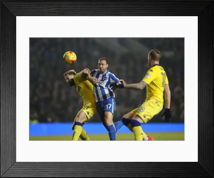 Framed Print : Brighton and Hove Albion vs. Leeds United: EFL Sky Bet Championship Showdown at American Express Community Stadium (December 9, 2016) Framed Print : Brighton and Hove Albion vs. Leeds United: EFL Sky Bet Championship Showdown at American Express Community Stadium (December 9, 2016)