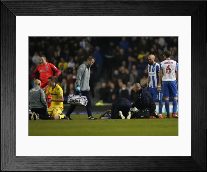 Framed Print : Brighton and Hove Albion vs. Leeds United: EFL Sky Bet Championship Showdown at American Express Community Stadium (December 9, 2016) Framed Print : Brighton and Hove Albion vs. Leeds United: EFL Sky Bet Championship Showdown at American Express Community Stadium (December 9, 2016)