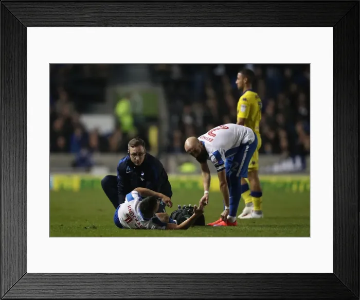 Framed Print : Brighton and Hove Albion vs. Leeds United: EFL Sky Bet Championship Showdown at American Express Community Stadium (December 9, 2016)