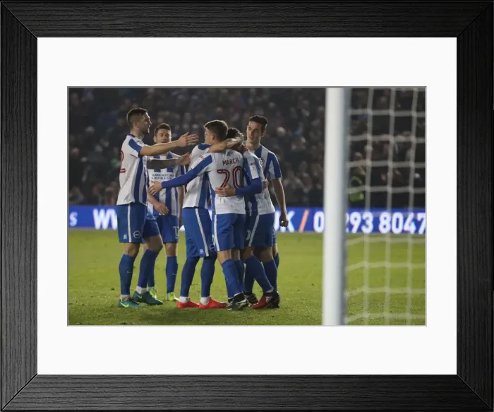 Framed Print : Brighton and Hove Albion vs. Leeds United: Championship Showdown at American Express Community Stadium (December 9, 2016)