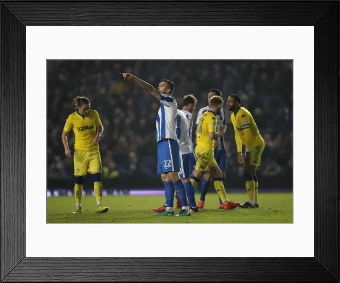 Framed Print : Brighton and Hove Albion vs. Leeds United: EFL Sky Bet Championship Showdown at American Express Community Stadium (December 9, 2016) Framed Print : Brighton and Hove Albion vs. Leeds United: EFL Sky Bet Championship Showdown at American Express Community Stadium (December 9, 2016)