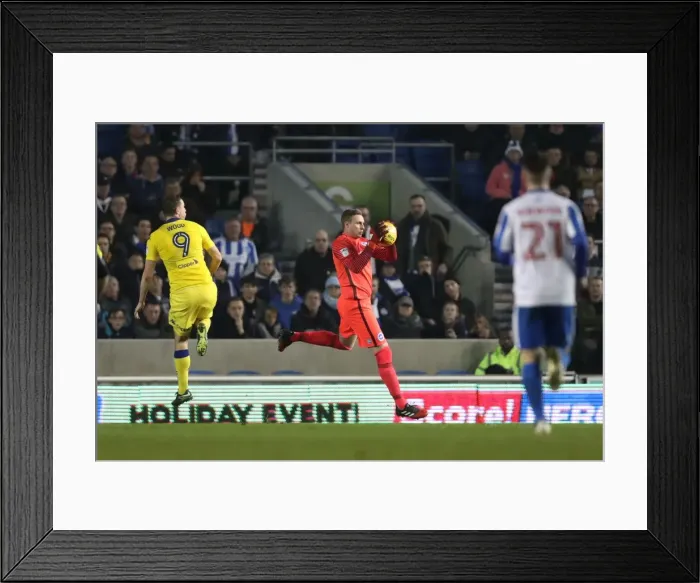 Framed Print : Brighton and Hove Albion vs. Leeds United: EFL Sky Bet Championship Showdown at American Express Community Stadium (December 9, 2016) Framed Print : Brighton and Hove Albion vs. Leeds United: EFL Sky Bet Championship Showdown at American Express Community Stadium (December 9, 2016)