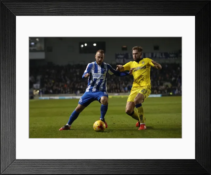 Framed Print : Brighton and Hove Albion vs. Leeds United: EFL Sky Bet Championship Clash at American Express Community Stadium (December 9, 2016) Framed Print : Brighton and Hove Albion vs. Leeds United: EFL Sky Bet Championship Clash at American Express Community Stadium (December 9, 2016)