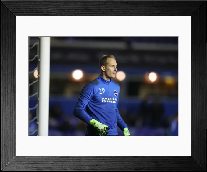 Framed Print : Decisive Moment: Birmingham vs. Brighton - EFL Sky Bet Championship Clash (17DEC16) Framed Print : Decisive Moment: Birmingham vs. Brighton - EFL Sky Bet Championship Clash (17DEC16)