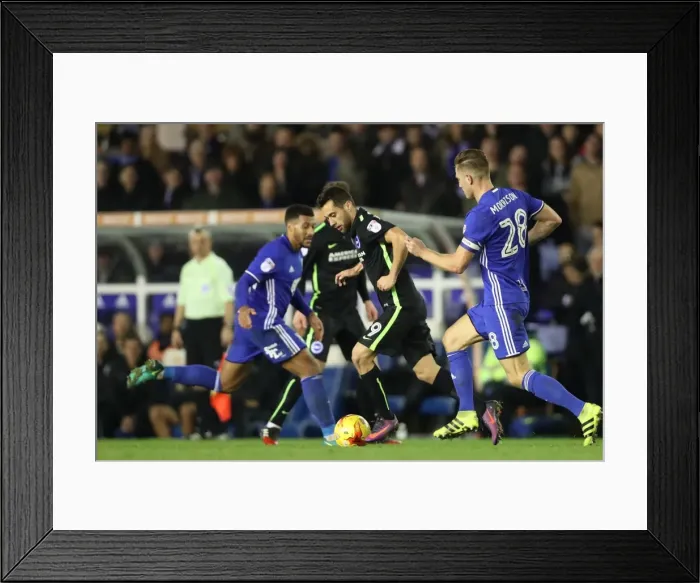 Framed Print : Birmingham vs. Brighton: Clash in the EFL Sky Bet Championship (17DEC16)