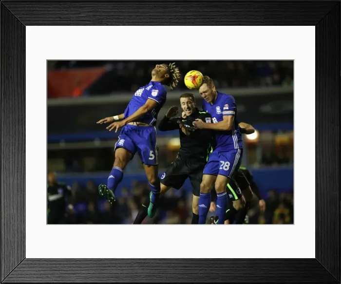 Framed Print : Birmingham vs. Brighton: Championship Clash at St. Andrews (17DEC16) Framed Print : Birmingham vs. Brighton: Championship Clash at St. Andrews (17DEC16)