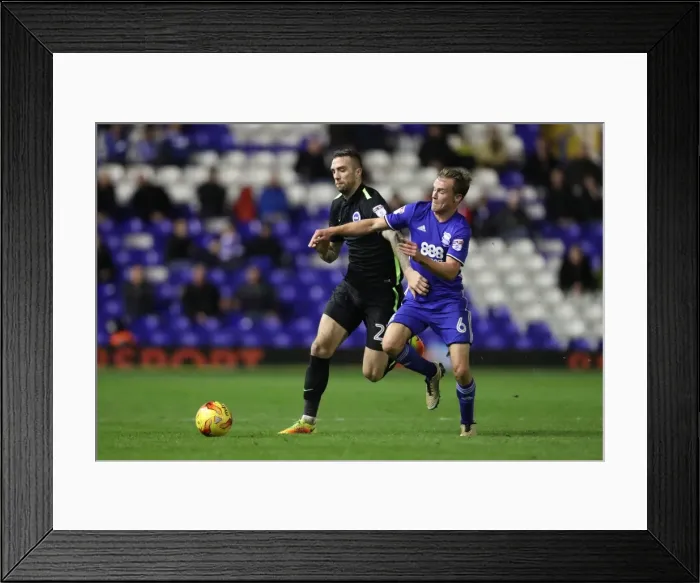 Framed Print : Birmingham vs. Brighton: EFL Sky Bet Championship Showdown at St. Andrews (17DEC16) Framed Print : Birmingham vs. Brighton: EFL Sky Bet Championship Showdown at St. Andrews (17DEC16)