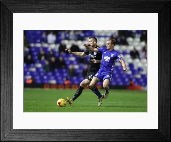 Framed Print : Decisive Moment: Birmingham vs. Brighton - EFL Sky Bet Championship Clash (17DEC16) Framed Print : Decisive Moment: Birmingham vs. Brighton - EFL Sky Bet Championship Clash (17DEC16)