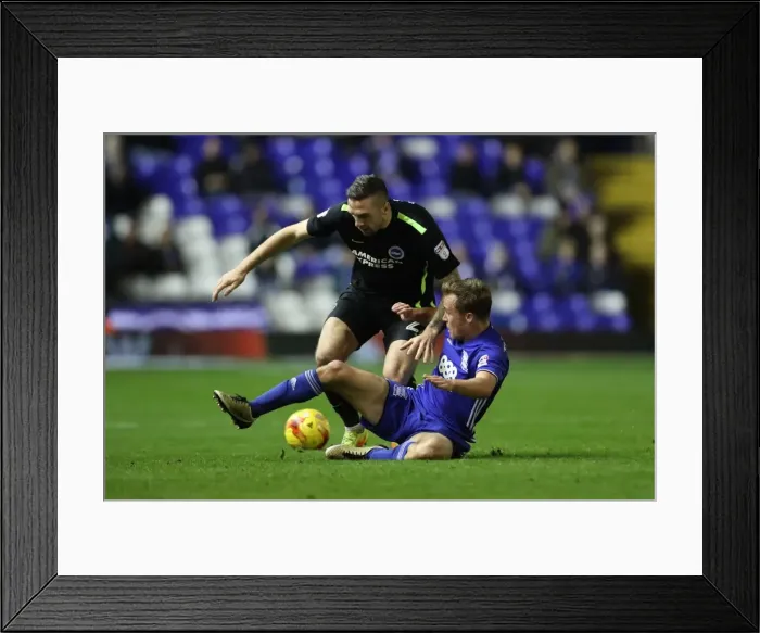 Framed Print : Birmingham vs. Brighton: EFL Sky Bet Championship Clash at St. Andrews (17DEC16) Framed Print : Birmingham vs. Brighton: EFL Sky Bet Championship Clash at St. Andrews (17DEC16)