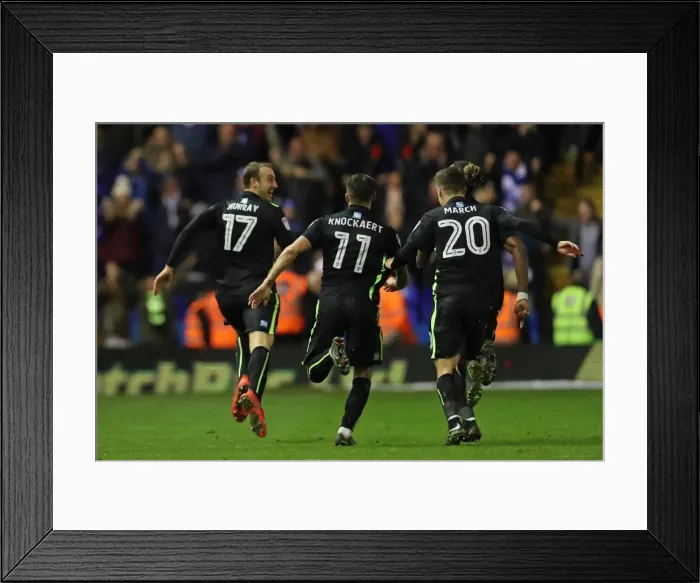 Framed Print : Decisive Moment: Birmingham vs. Brighton in EFL Championship (17DEC16) Framed Print : Decisive Moment: Birmingham vs. Brighton in EFL Championship (17DEC16)