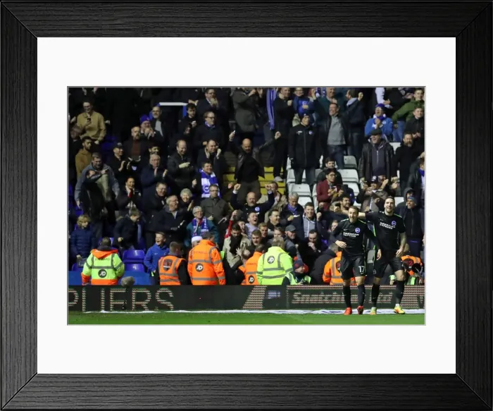 Framed Print : Birmingham vs. Brighton: A Battle in the EFL Sky Bet Championship (17DEC16) Framed Print : Birmingham vs. Brighton: A Battle in the EFL Sky Bet Championship (17DEC16)