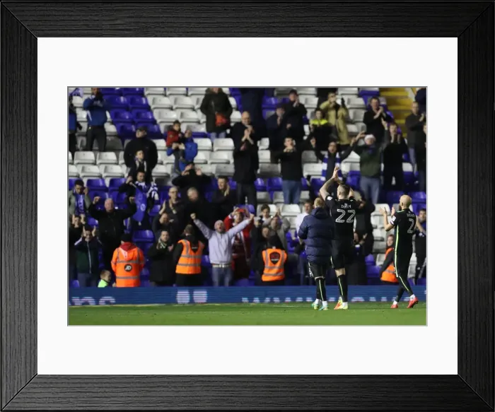 Framed Print : Decisive Moment: Birmingham vs. Brighton - EFL Sky Bet Championship Clash (17DEC16) Framed Print : Decisive Moment: Birmingham vs. Brighton - EFL Sky Bet Championship Clash (17DEC16)