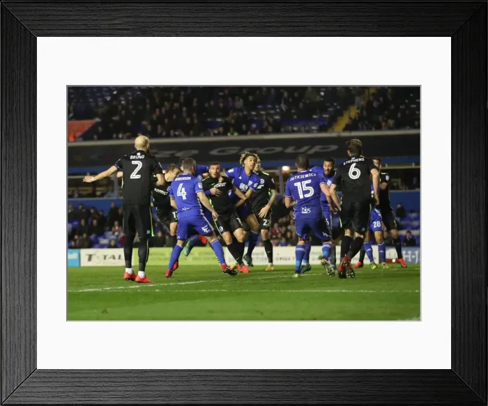 Framed Print : Clash in the Championship: Birmingham vs. Brighton (17DEC16) Framed Print : Clash in the Championship: Birmingham vs. Brighton (17DEC16)