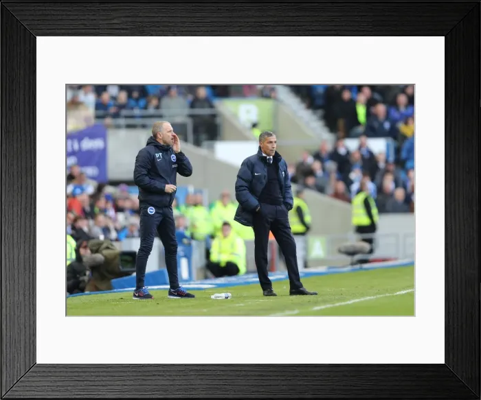 Framed Print : Brighton and Hove Albion vs. Queens Park Rangers: EFL Sky Bet Championship Showdown at American Express Community Stadium (27DEC16)