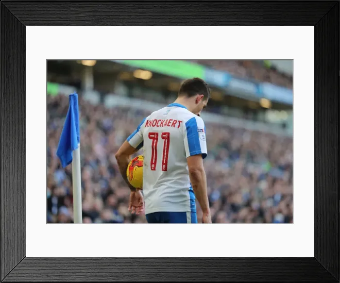Framed Print : Brighton and Hove Albion vs. Queens Park Rangers: EFL Sky Bet Championship Battle at American Express Community Stadium (27DEC16) Framed Print : Brighton and Hove Albion vs. Queens Park Rangers: EFL Sky Bet Championship Battle at American Express Community Stadium (27DEC16)