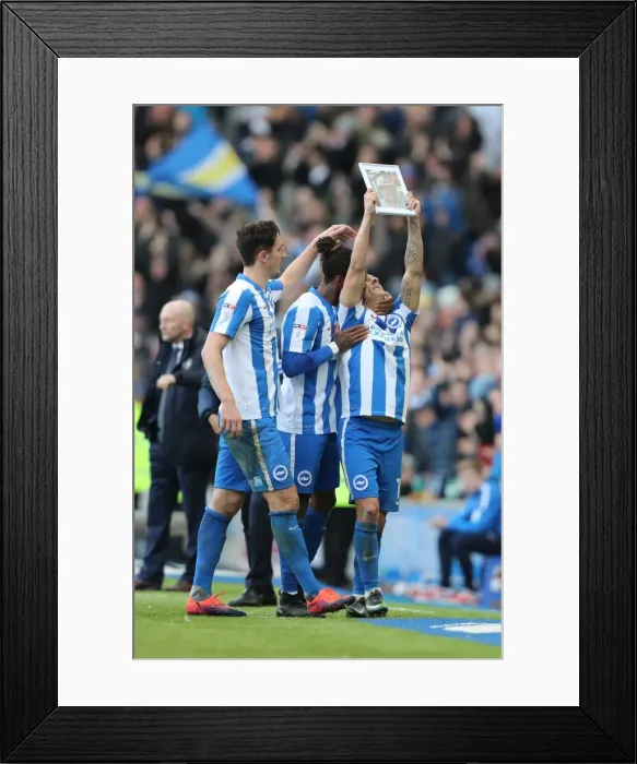 Framed Print : Brighton and Hove Albion vs. Queens Park Rangers: EFL Sky Bet Championship Showdown at American Express Community Stadium (December 2016) Framed Print : Brighton and Hove Albion vs. Queens Park Rangers: EFL Sky Bet Championship Showdown at American Express Community Stadium (December 2016)
