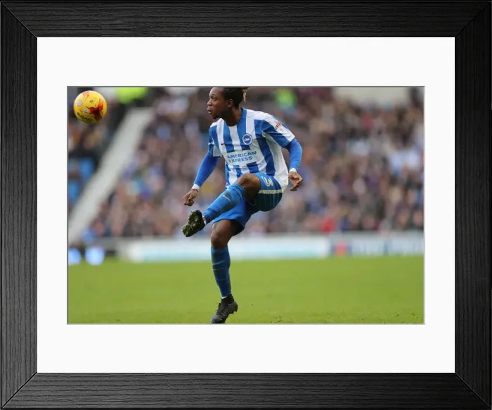 Framed Print : Brighton and Hove Albion vs. Queens Park Rangers: EFL Sky Bet Championship Battle at American Express Community Stadium (27DEC16) Framed Print : Brighton and Hove Albion vs. Queens Park Rangers: EFL Sky Bet Championship Battle at American Express Community Stadium (27DEC16)