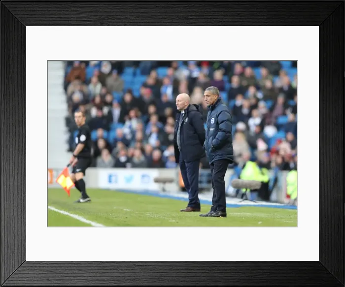 Framed Print : Brighton and Hove Albion vs. Queens Park Rangers: EFL Sky Bet Championship Showdown at American Express Community Stadium (27DEC16) Framed Print : Brighton and Hove Albion vs. Queens Park Rangers: EFL Sky Bet Championship Showdown at American Express Community Stadium (27DEC16)