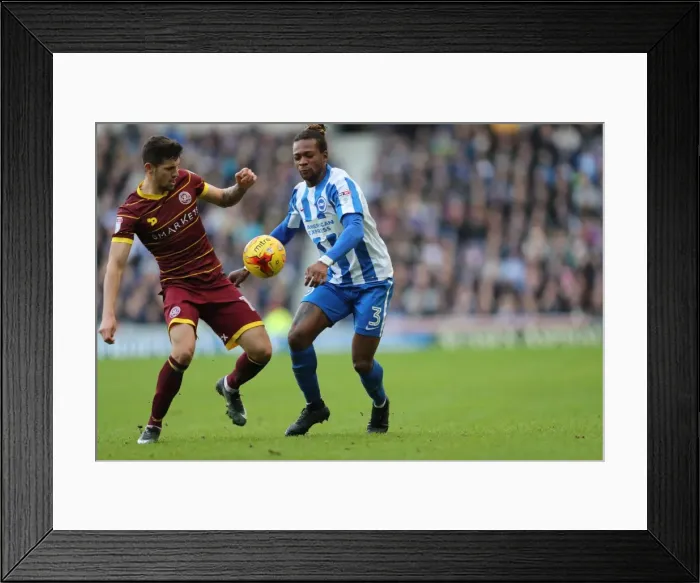 Framed Print : Brighton and Hove Albion vs. Queens Park Rangers: EFL Sky Bet Championship Showdown at American Express Community Stadium (December 2016)