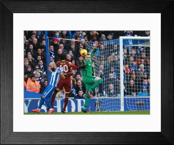 Framed Print : Brighton & Hove Albion: David Stockdale Focused During QPR Championship Clash, December 2016 Framed Print : Brighton & Hove Albion: David Stockdale Focused During QPR Championship Clash, December 2016