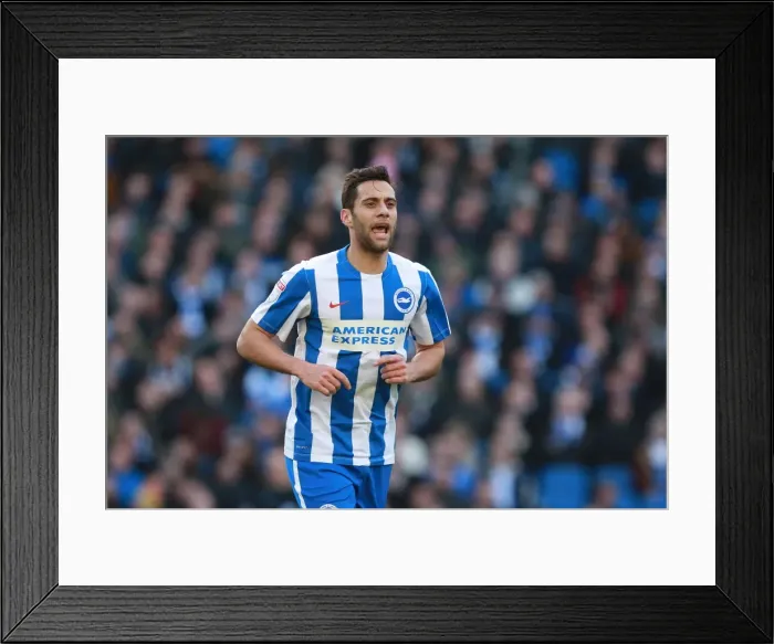 Framed Print : Brighton & Hove Albion: Sam Baldock Scores the Winning Goal Against Queens Park Rangers in EFL Sky Bet Championship (December 27, 2016) Framed Print : Brighton & Hove Albion: Sam Baldock Scores the Winning Goal Against Queens Park Rangers in EFL Sky Bet Championship (December 27, 2016)