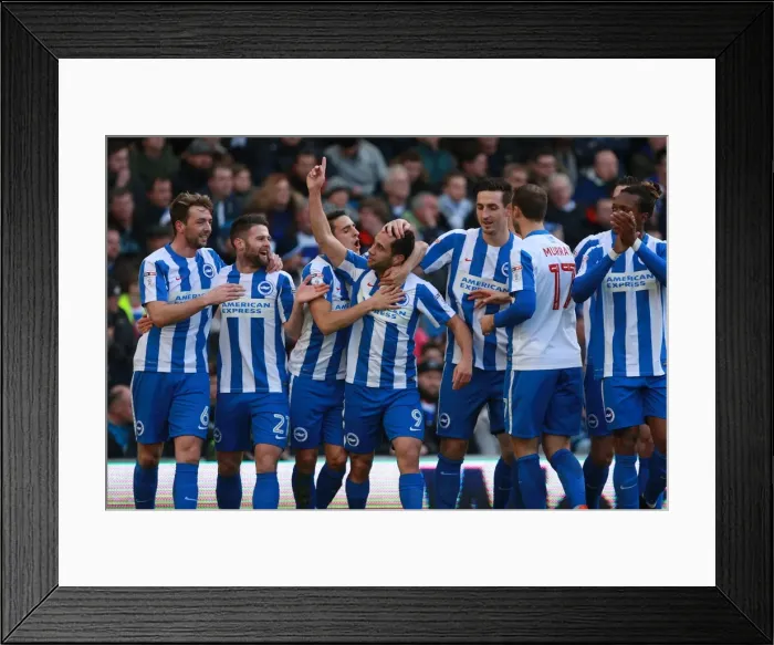 Framed Print : Brighton & Hove Albion's Sam Baldock Scores the Opener in Sky Bet Championship Match against Queens Park Rangers (December 2016) Framed Print : Brighton & Hove Albion's Sam Baldock Scores the Opener in Sky Bet Championship Match against Queens Park Rangers (December 2016)