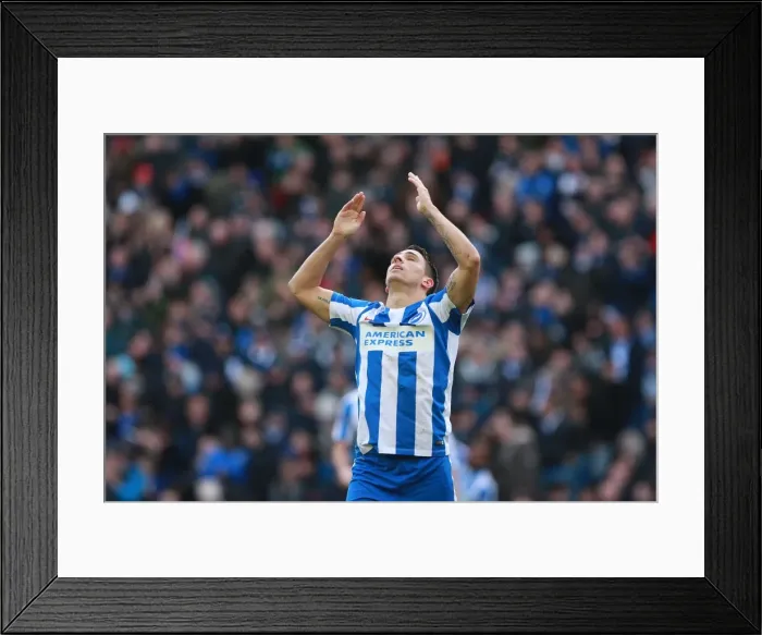 Framed Print : Anthony Knockaert's Goal Celebration: Brighton & Hove Albion vs. Queens Park Rangers, EFL Sky Bet Championship 2016 Framed Print : Anthony Knockaert's Goal Celebration: Brighton & Hove Albion vs. Queens Park Rangers, EFL Sky Bet Championship 2016