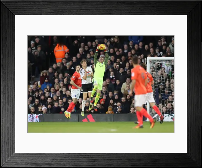 Framed Print : Brighton and Hove Albion vs Fulham: EFL Sky Bet Championship Clash at Craven Cottage (02JAN17)