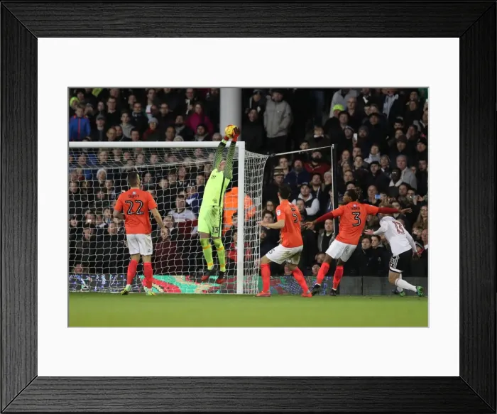 Framed Print : Brighton and Hove Albion vs. Fulham: EFL Sky Bet Championship Showdown at Craven Cottage (02.01.17) Framed Print : Brighton and Hove Albion vs. Fulham: EFL Sky Bet Championship Showdown at Craven Cottage (02.01.17)