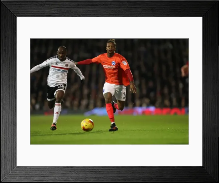 Framed Print : EFL Sky Bet Championship: Fulham vs. Brighton and Hove Albion Clash at Craven Cottage (02JAN17) Framed Print : EFL Sky Bet Championship: Fulham vs. Brighton and Hove Albion Clash at Craven Cottage (02JAN17)