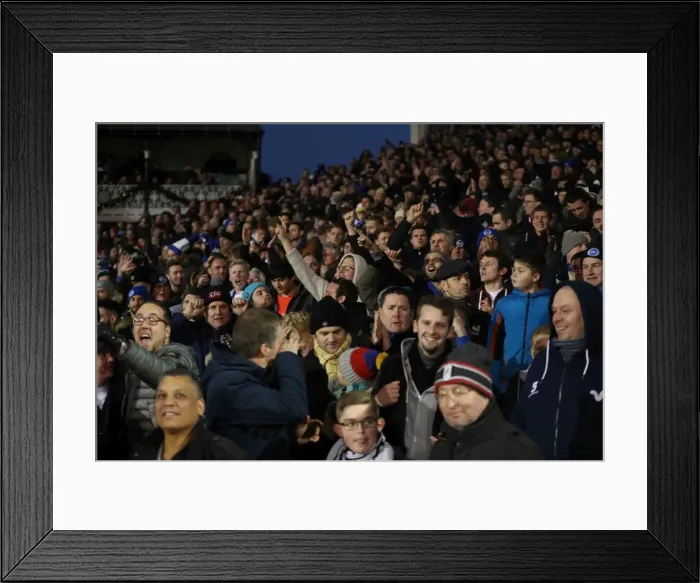 Framed Print : Brighton and Hove Albion vs. Fulham: EFL Sky Bet Championship Clash at Craven Cottage (02JAN17) - Intense Match Action Framed Print : Brighton and Hove Albion vs. Fulham: EFL Sky Bet Championship Clash at Craven Cottage (02JAN17) - Intense Match Action